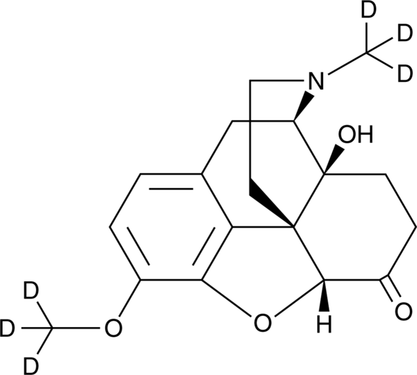 19249.png